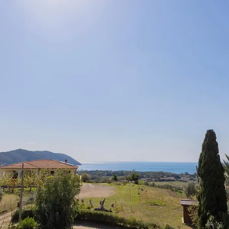 Belvedere By Elbasummer *