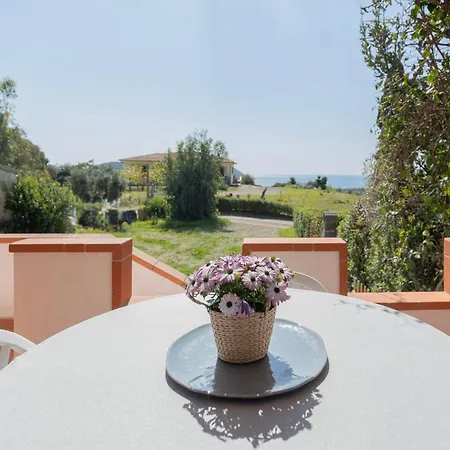 Belvedere By Elbasummer Lacona