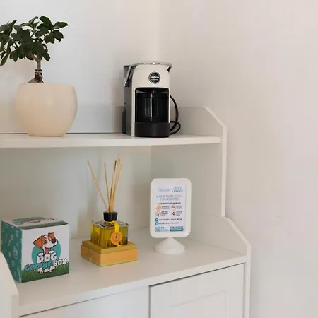 Belvedere By Elbasummer