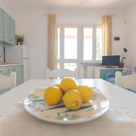 Belvedere By Elbasummer Lacona