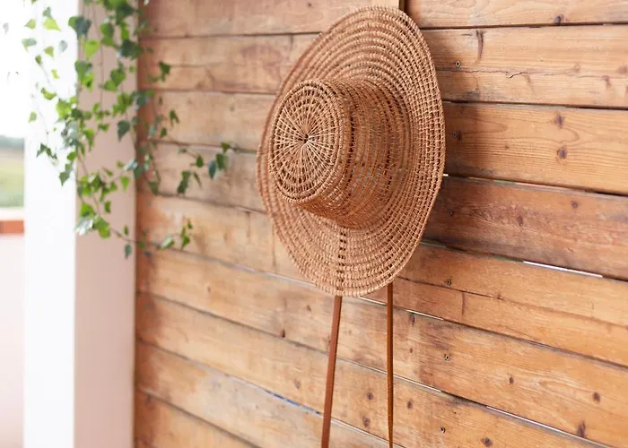 Belvedere By Elbasummer