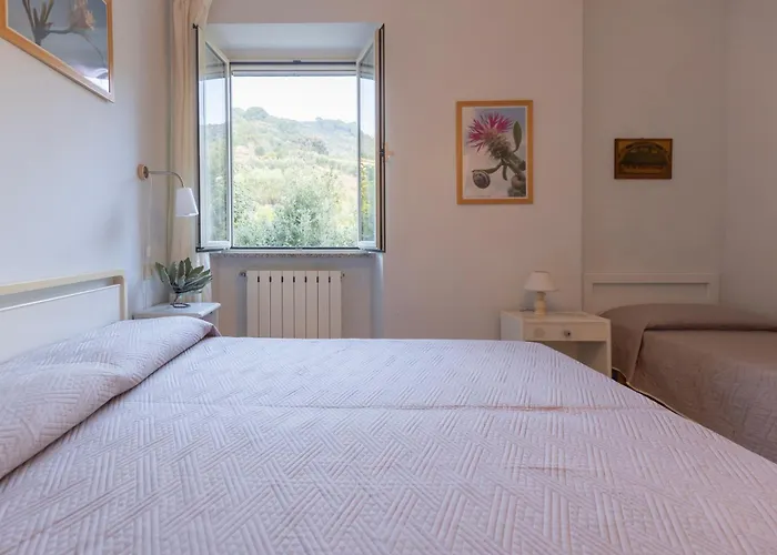 Belvedere By Elbasummer Лакона