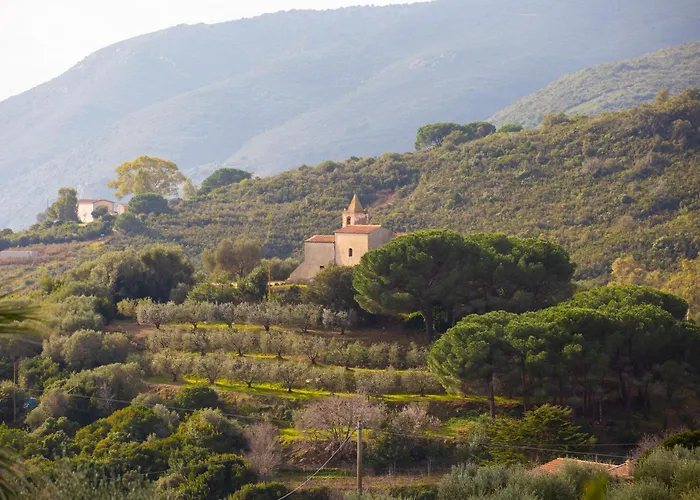 Lejlighed Belvedere By Elbasummer