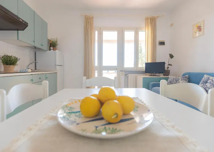 Belvedere By Elbasummer Lacona