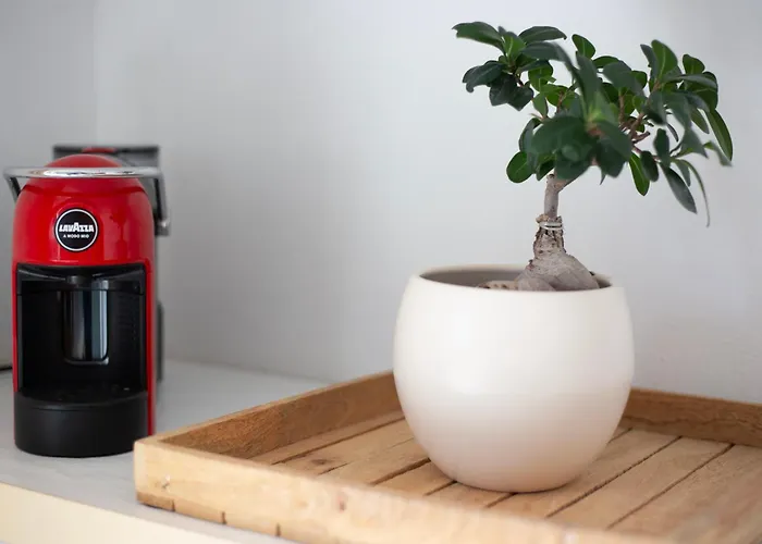 شقة Belvedere By Elbasummer