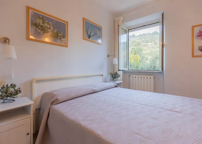 Belvedere By Elbasummer